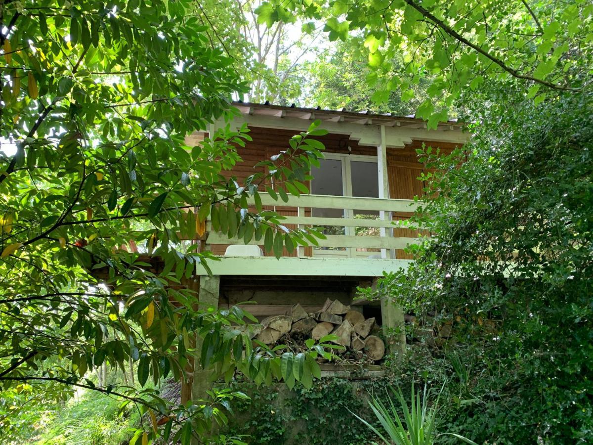 Chalet En Bord De Seine Villa Le Coudray-Montceaux Exteriör bild